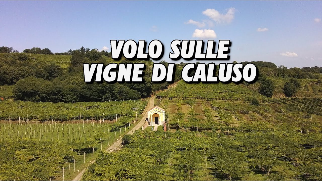 VOLO SULLE VIGNE DI CALUSO, DOVE VIENE PRODOTTO IL CELEBERRIMO ERBALUCE!