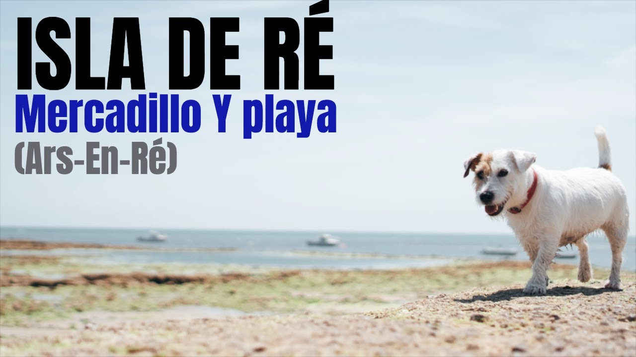 🇫🇷ISLA DE RE: mercadillo y playa || Ars-En-Re