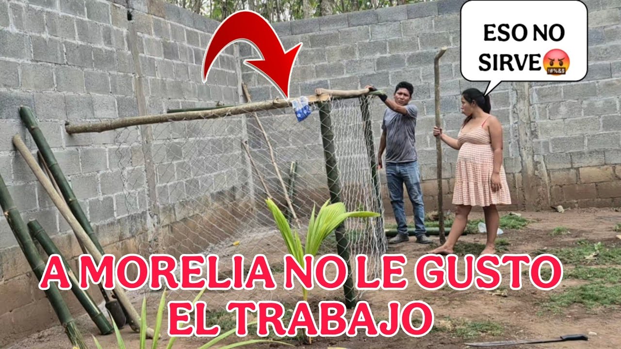 Así va quedando la casita para los pollos de MORELIA 