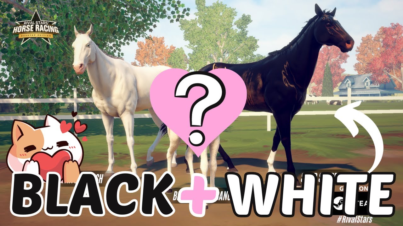 BREEDING PURE WHITE WITH PURE BLACK HORSES! | Rival Stars Horse Racing