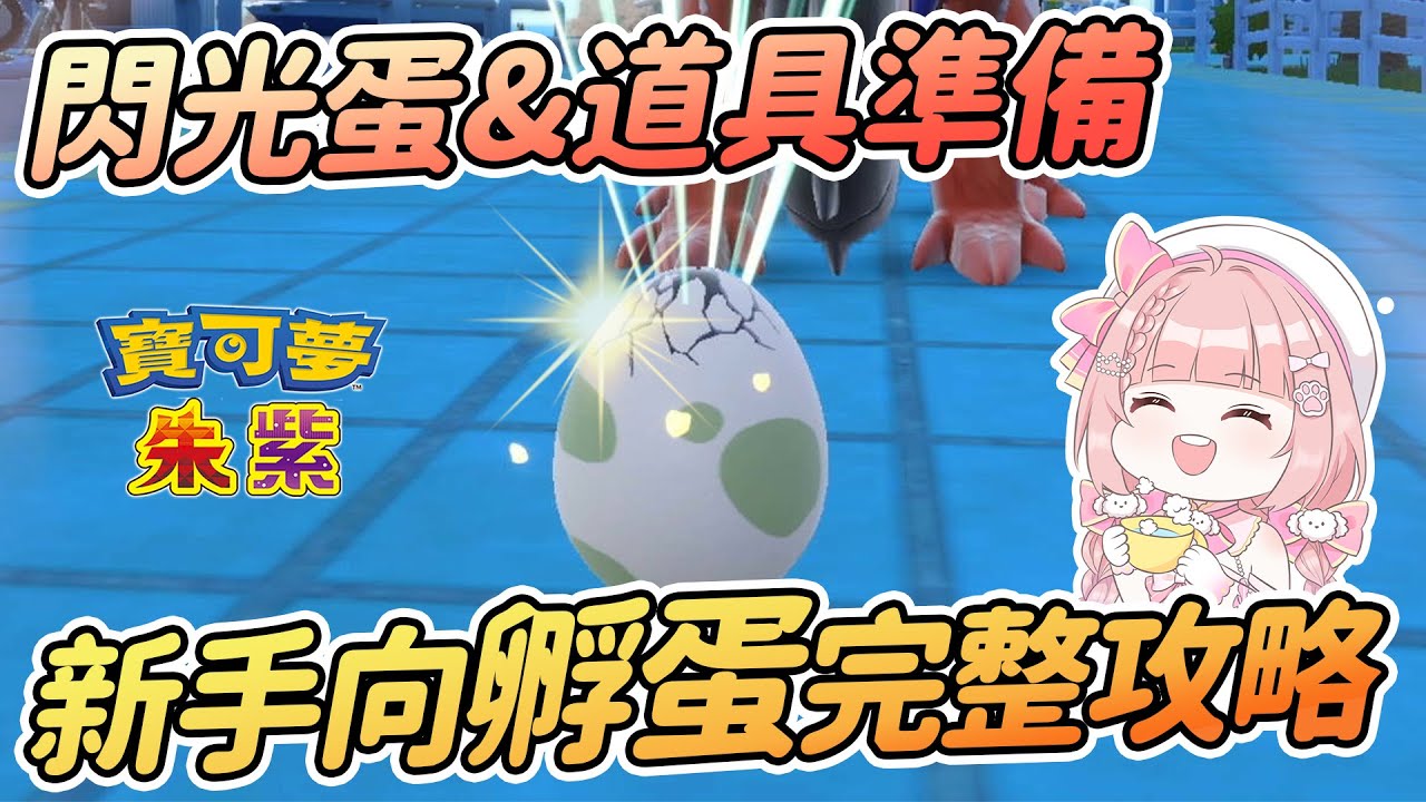 新手向孵蛋完整攻略 | 閃光孵蛋 道具準備 孵蛋流程【寶可夢朱紫】