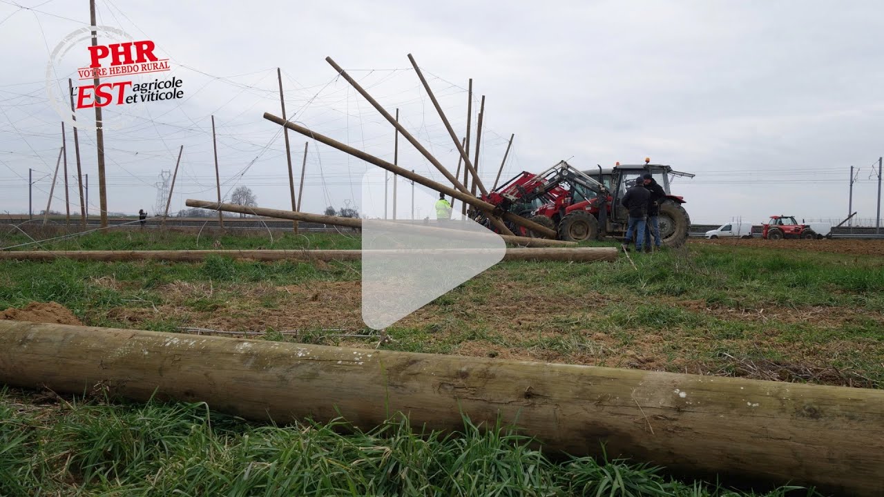 Chantier de montage d'une houblonnière