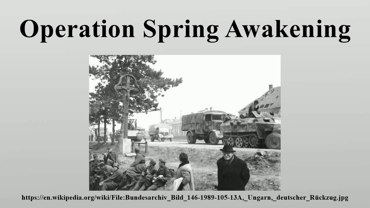 Operation Spring Awakening