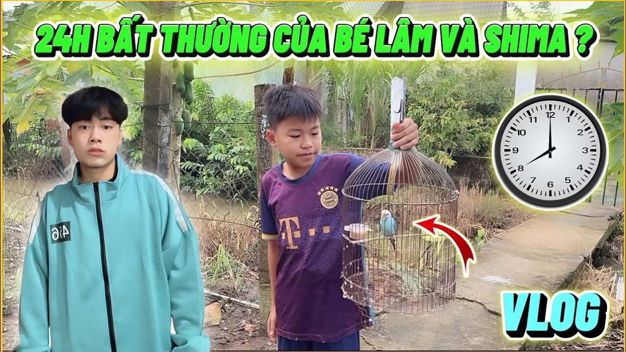 VLOG | Một Ngày “ Không Bình Thường “ Của Bé Lâm Và Shima, Sẽ Như Thế Nào ???