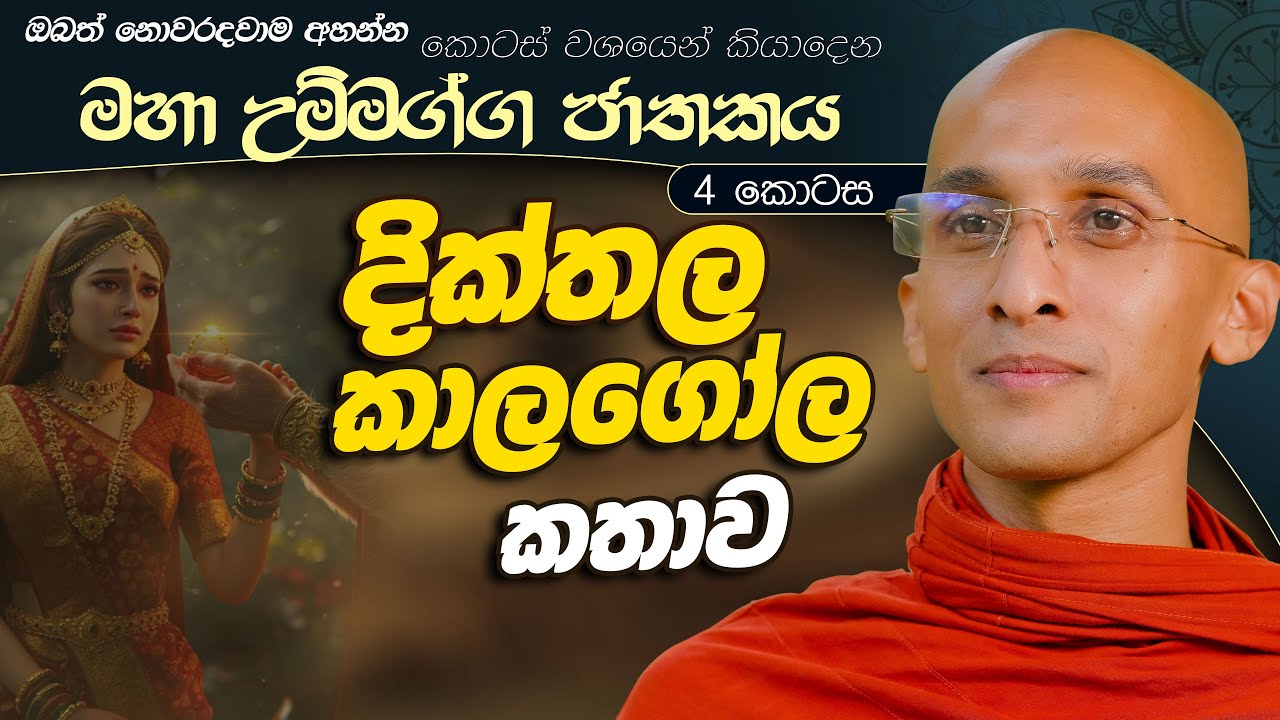394. දික්තල කාලගෝල කතාව | මහා උම්මග්ග ජාතකය 4 | 2024.07.08