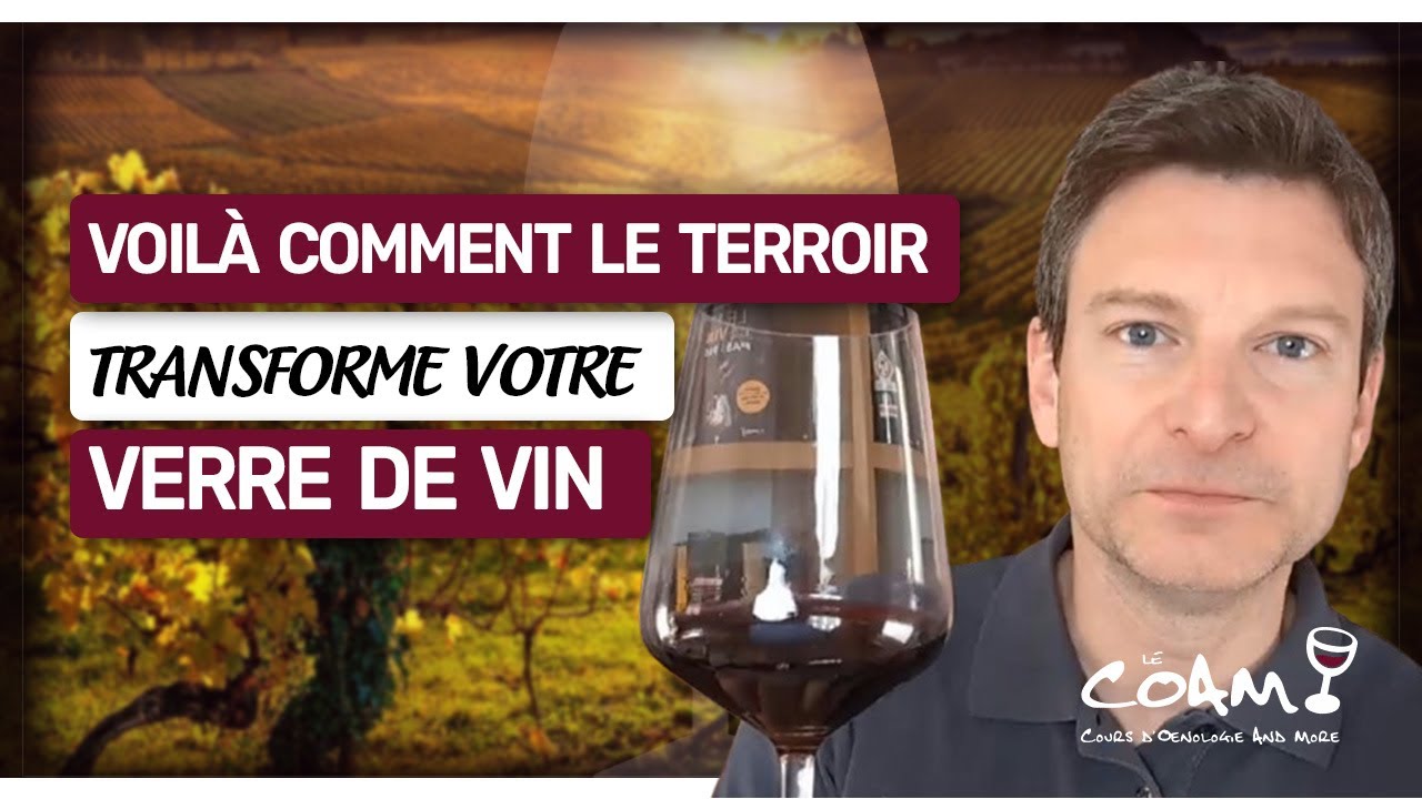 Voilà comment le LIEU influence votre verre de vin