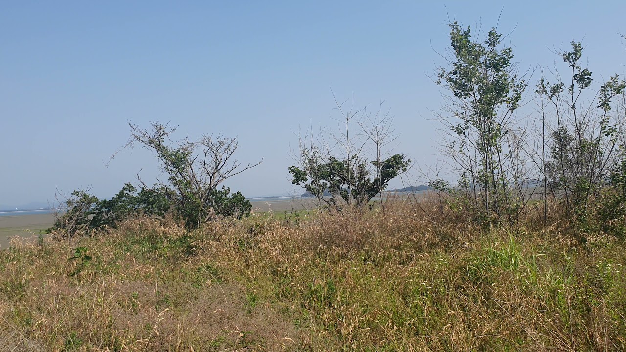바닷가앞 펜션부지토지매매합니디다 해제면 창매리바닷가 앞토지매매