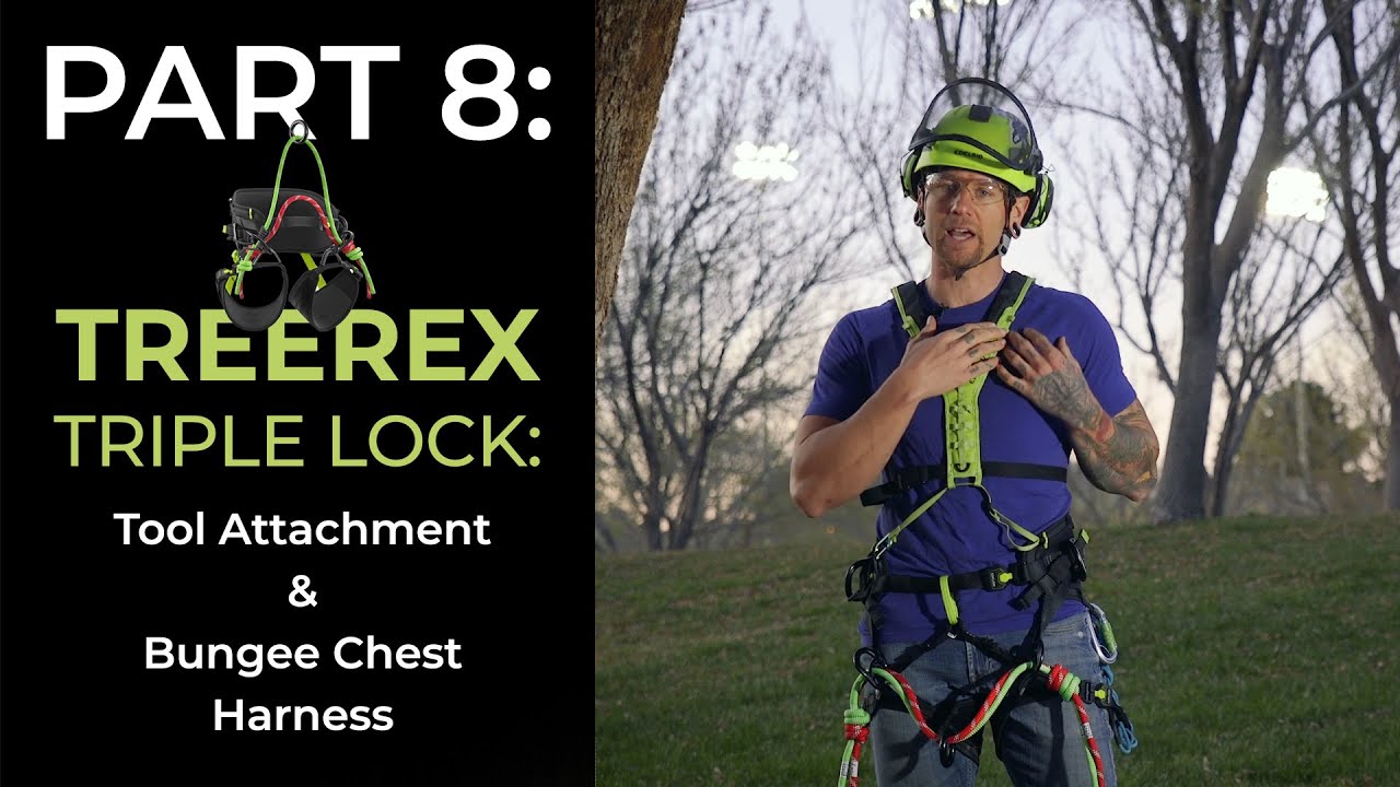 TREEREX TRIPLE LOCK:  Tool Attachment & Bungee Chest Harness | EDELRID