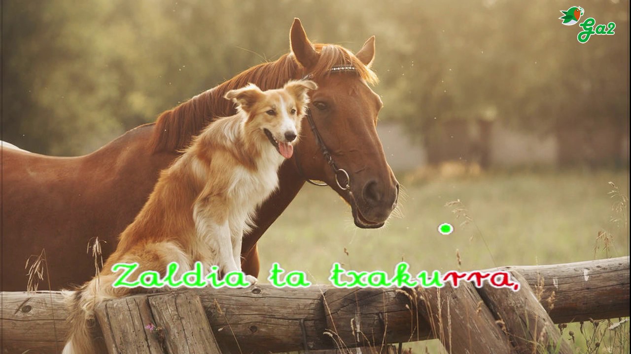 Guk maite ditugu abereak (Xala eta Parta)