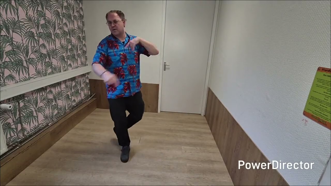 Shadows On The Walls (demo) line dance