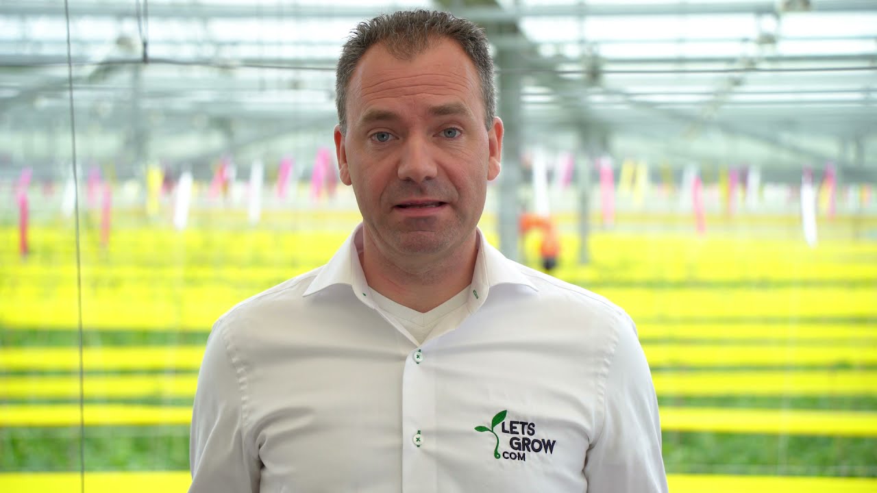 Ton van Dijk - LetsGrow.com explained in three minutes.