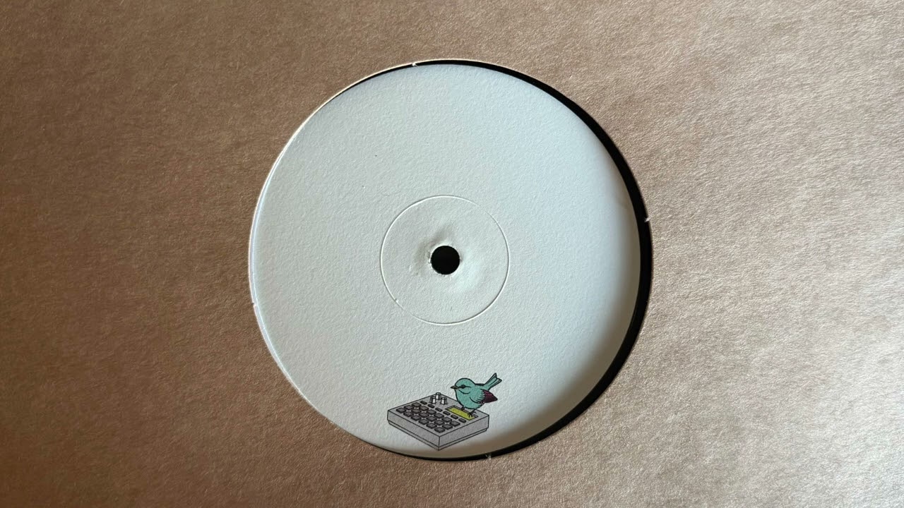 Siggatunez - You Give Me Hope (Original Mix)