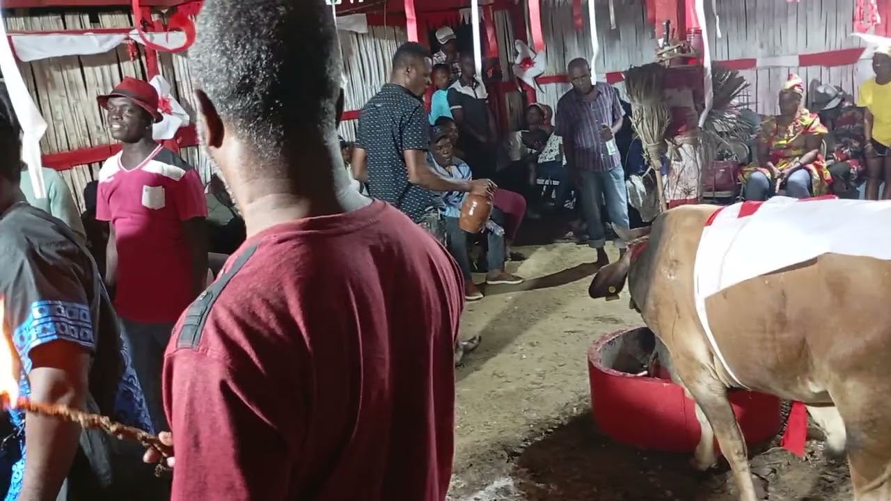 Bèf la pwal mouri / seremoni an kòmanse 