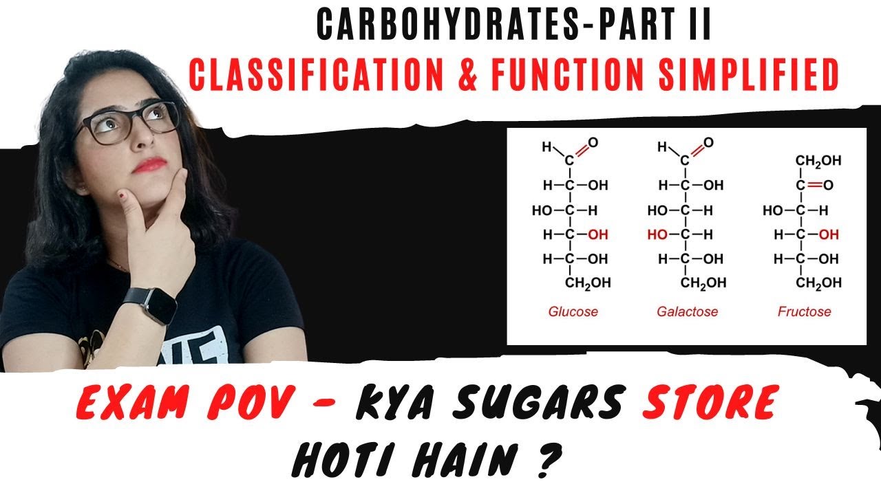 Carbohydrates- classification & function ? | Part II 