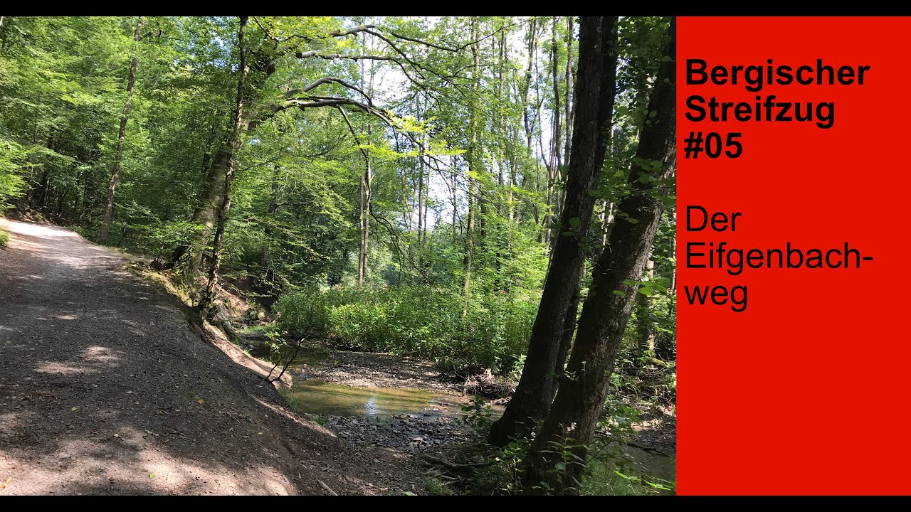 Wanderung auf dem Bergischen Streifzug #5 - Eifgenbachweg