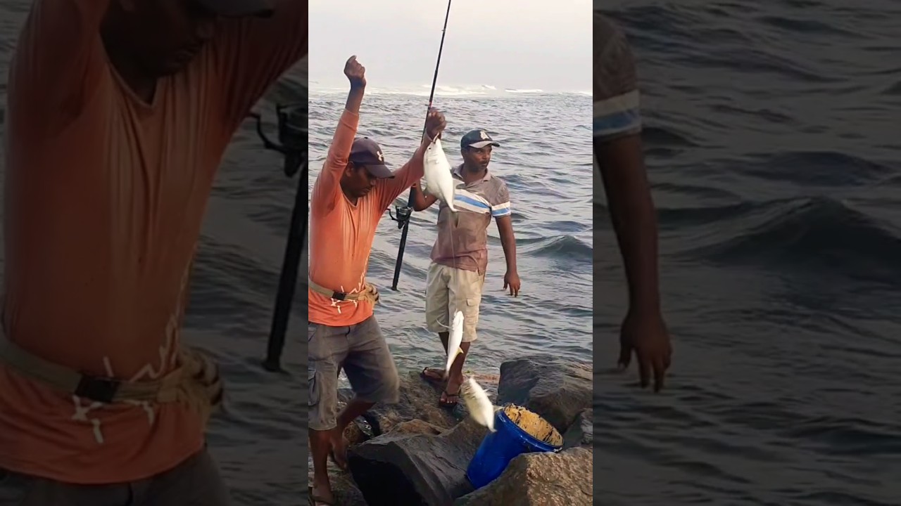 Wellawatte Sri Lanka Fishing Life 😘😉
