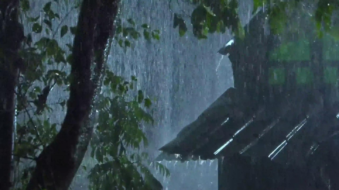Deep Sleep Rain Sounds: Heavy Black Screen Thunderstorm for Insomnia Relief & Relaxation.
