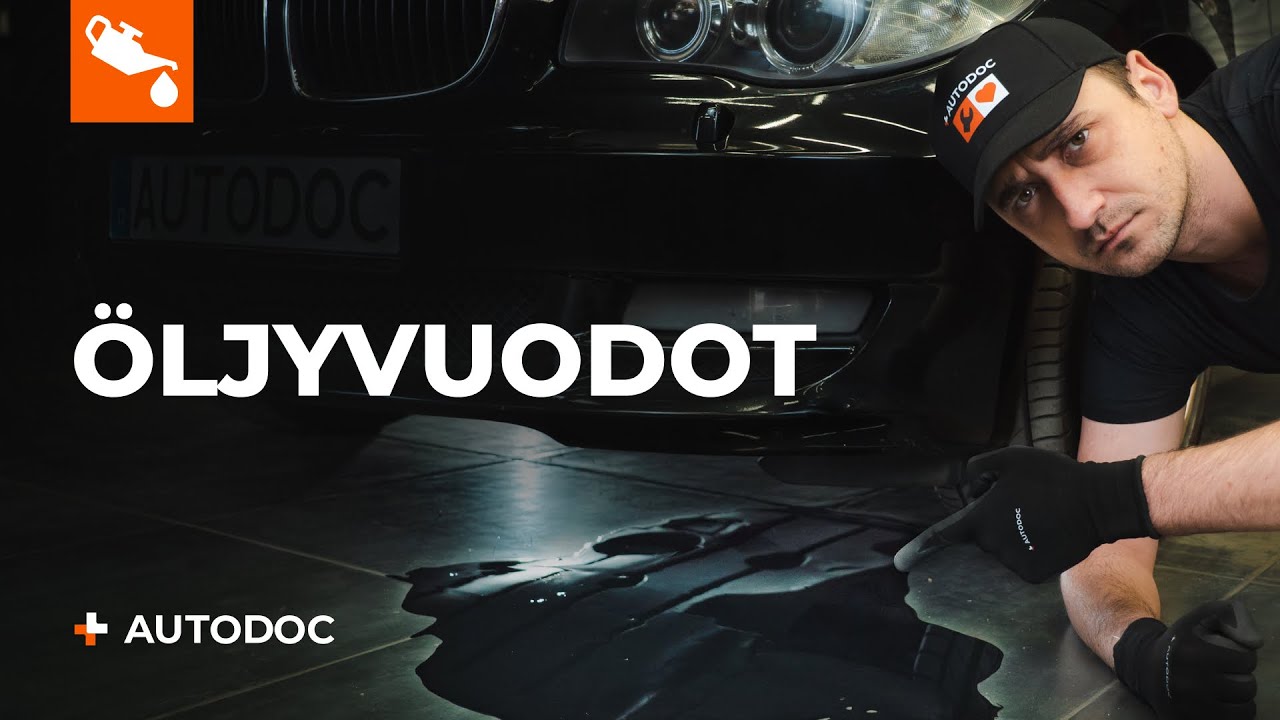 5 yleisintä öljyvuodon syytä | AUTODOCin vinkit