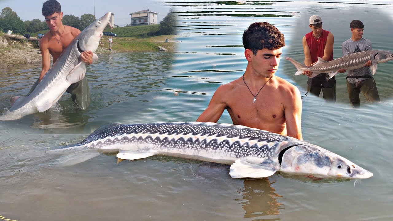 PESCA dei BELLISSIMI STORIONI del lago SGAGNA