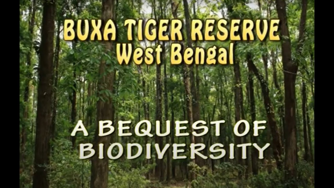 A Documentary on Buxa Tiger Reserve of Alipuduar district, West Bengal