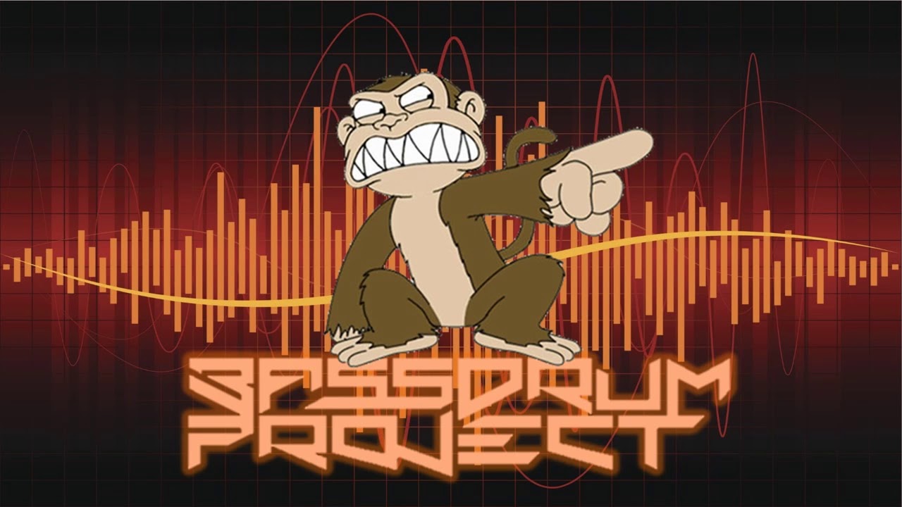 Bassdrum project - King of the style (Bassdrum project Remix).