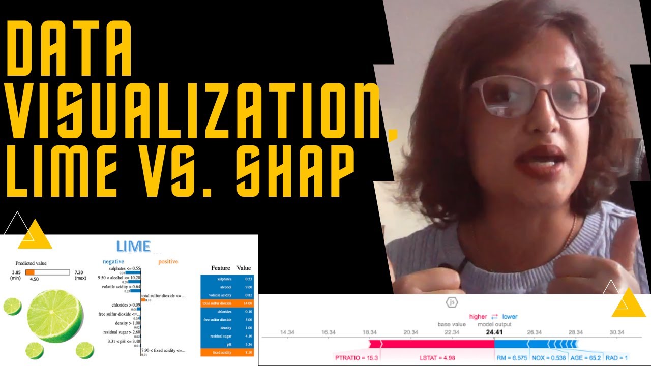 Data Visualization with Python: Lime and SHAP Libraries
