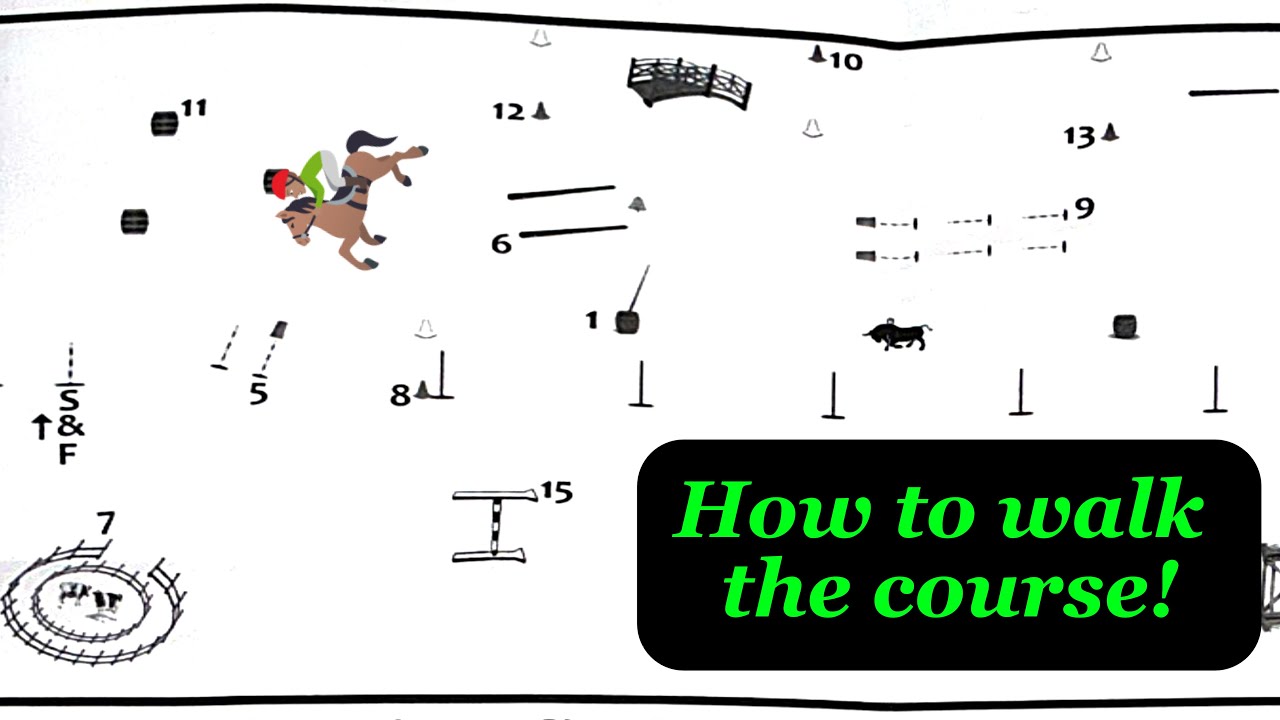 Beginner Course Walk Working Equitation