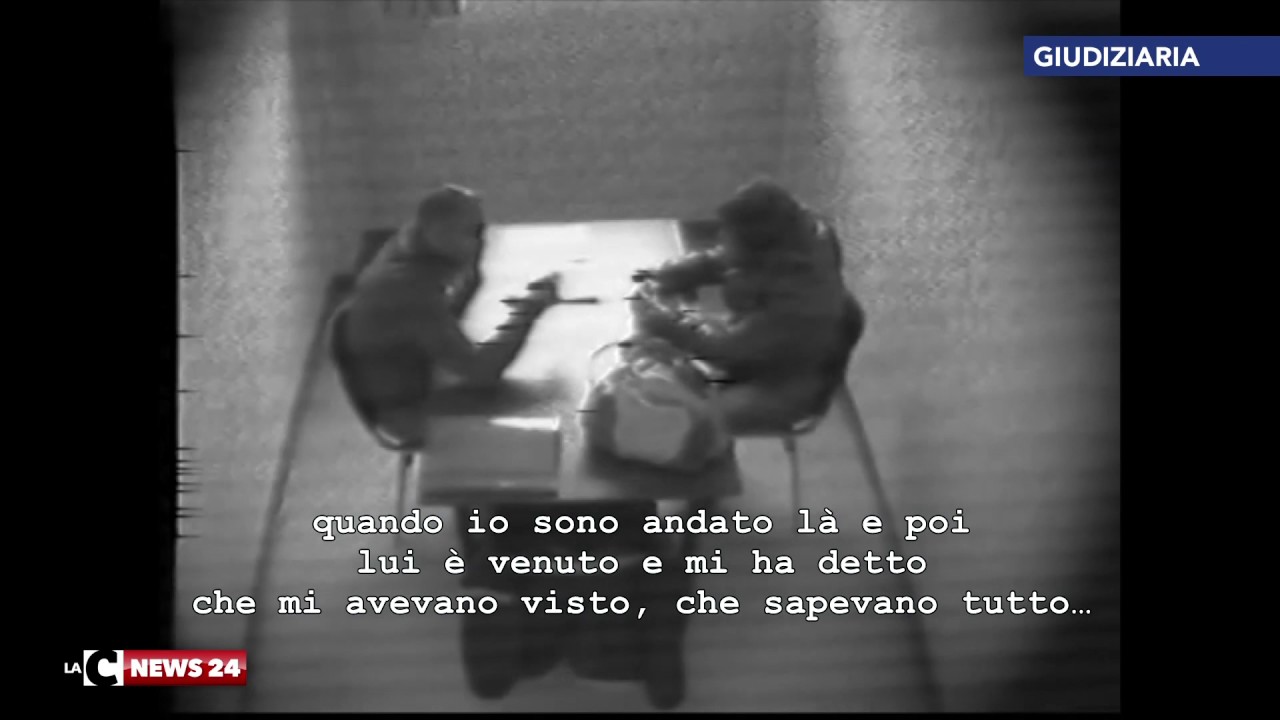 Chi volle lo 