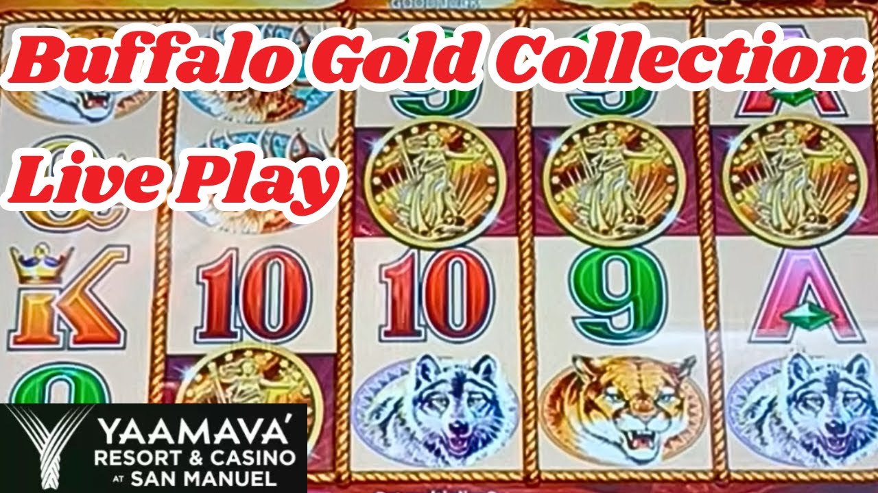 Buffalo Gold Collection Live Play