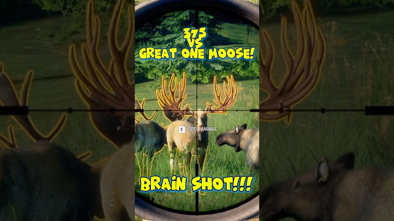 😡 МОДИРОВАННОЕ МНОГОПОЛЬЗОВАТЕЛЬСКОЕ БЕЗУМИЕ 😡 The Hunter: Call of the Wild
