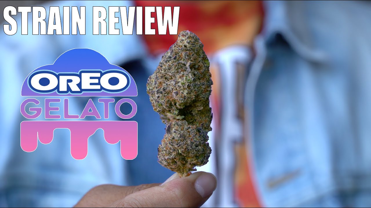 STRAIN REVIEW OREO GELATO