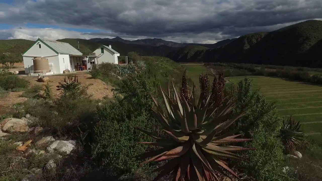 Matjiesvlei Guest Farm - Calitzdorp
