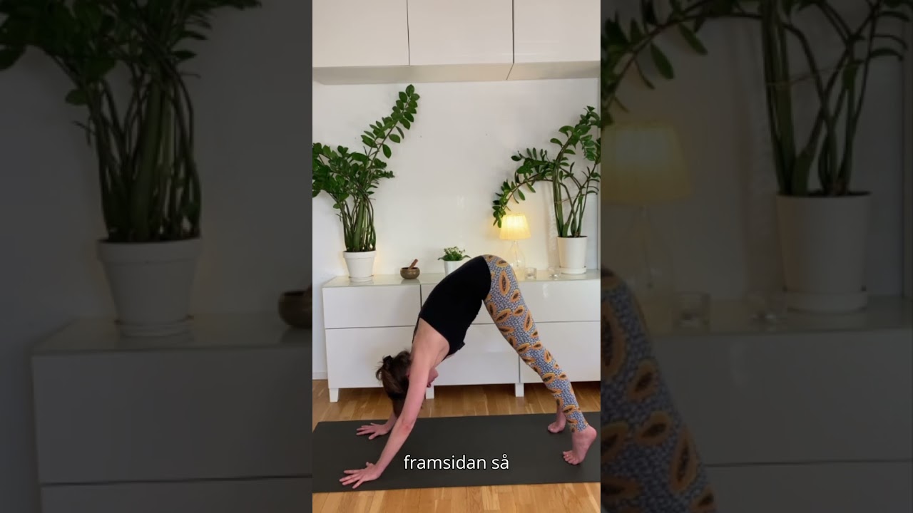 👣 Kliva fram och avsluta Solhälsning A – Modifierad version (Video 8)