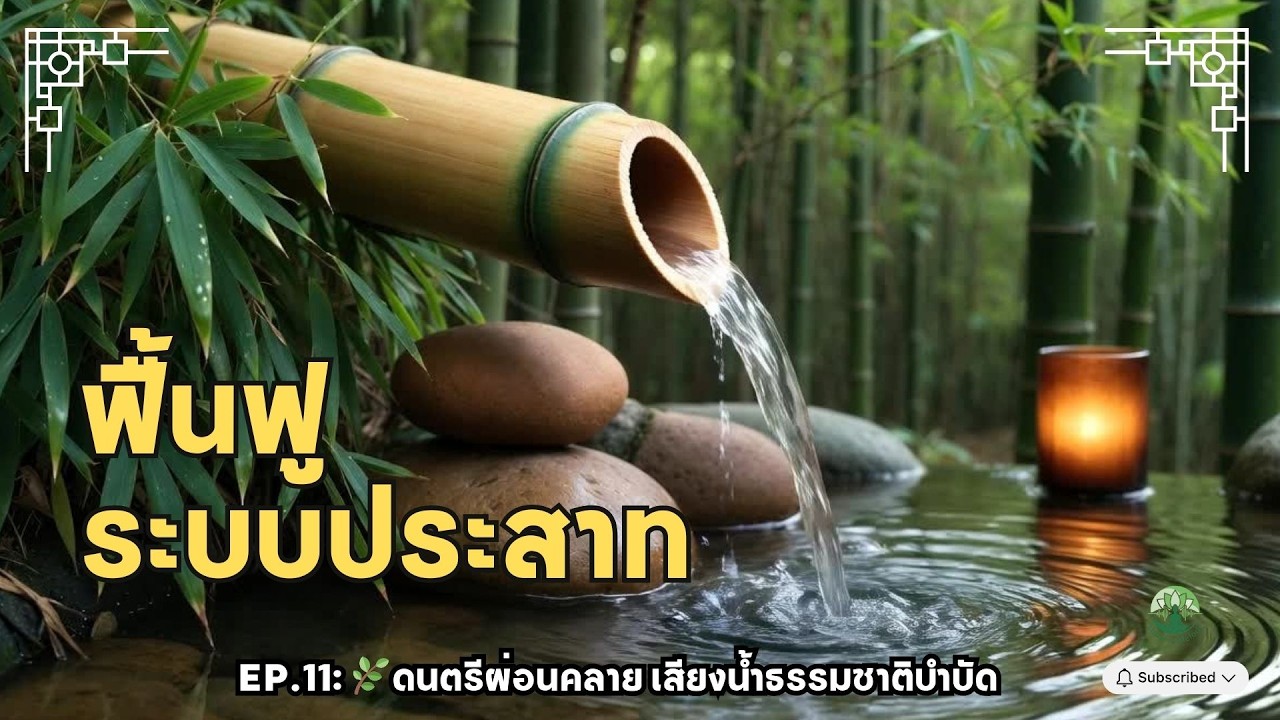 🌿EP.11  : Nature Piano Therapy 🌿ฟื้นฟูระบบประสาท เสียงน้ำธรรมชาติบำบัด บำบัดสมอง