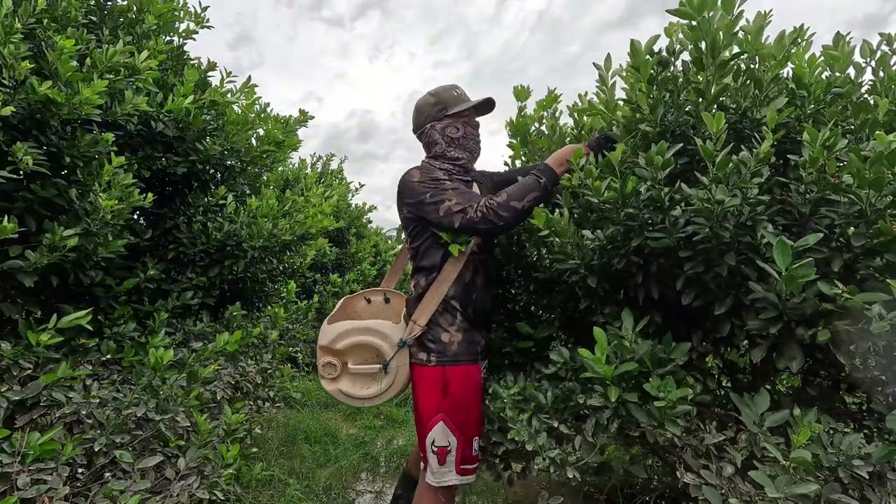 GANADO ANG LAHAT SA TRABAHO