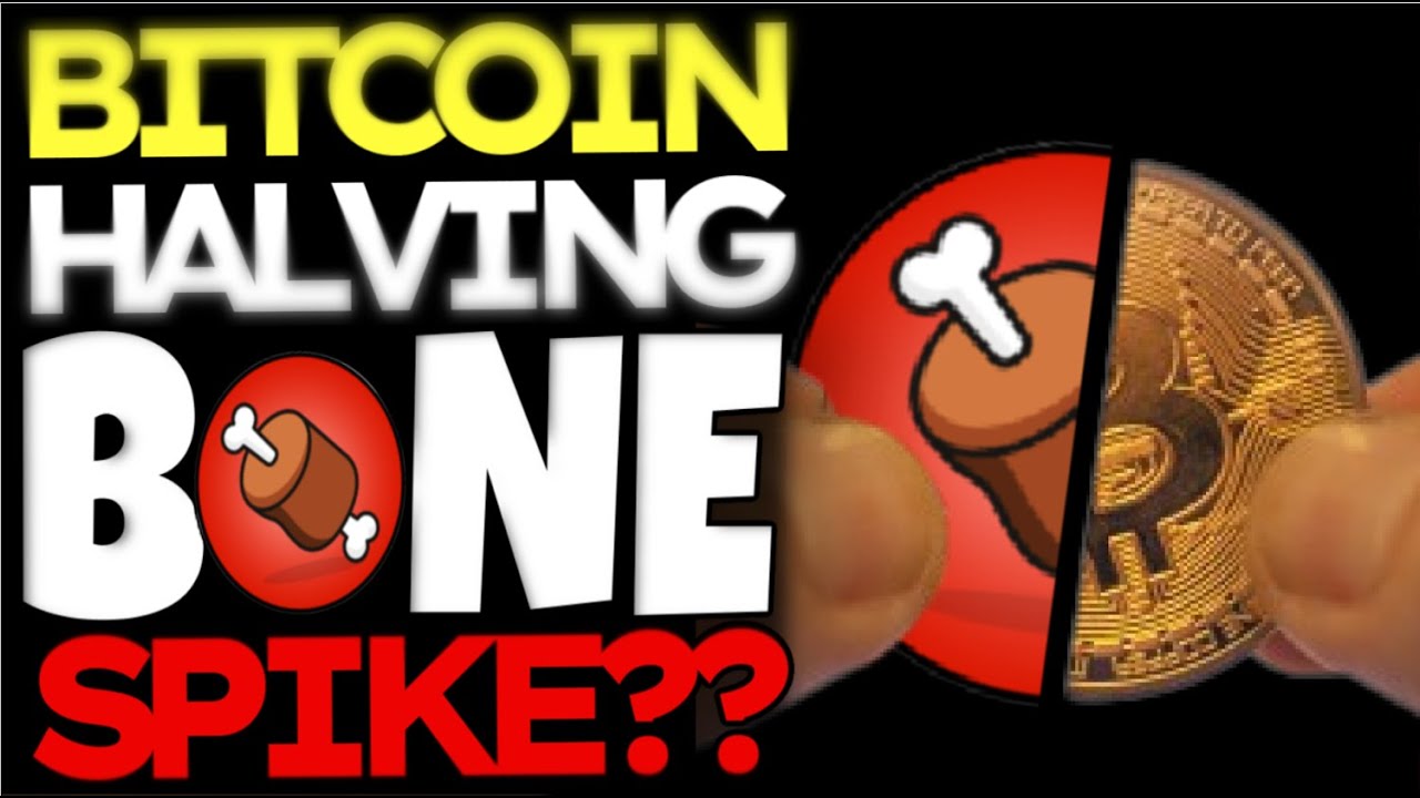 BONE SHIBASWAP DURING THE NEXT BITCOIN HALVING EVENT WILL EXPLODE IN PRICE!!!