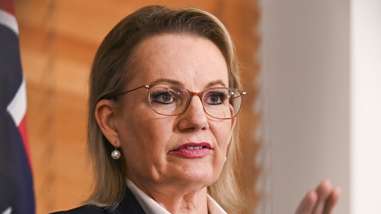 ‘Death spiral’ in polls fuels push to oust Sussan Ley