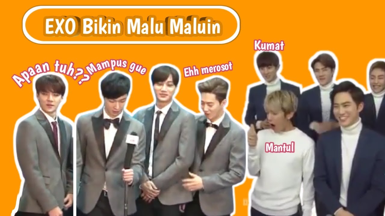 EXO SELALU BERTINGKAH ABSTRAK KALAU DI DEPAN KAMERA