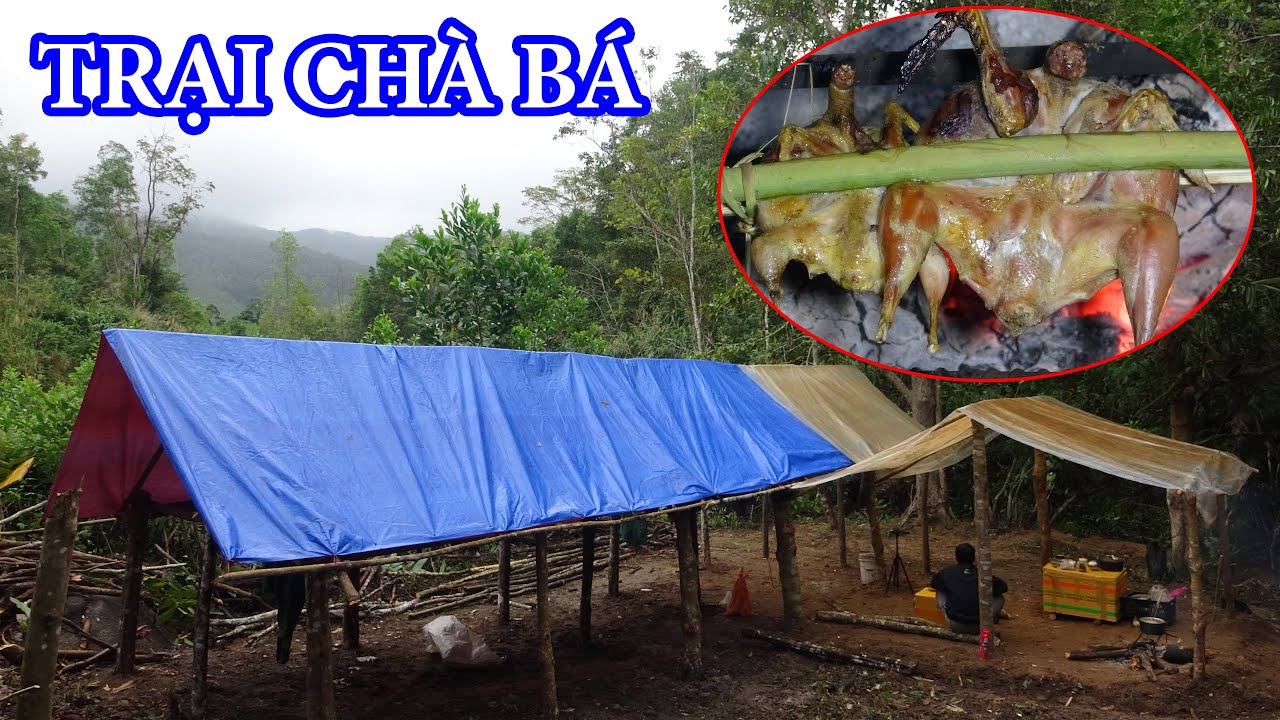 DỰNG TRẠI CỐ ĐỊNH, CHỜ MÙA SĂN BẮT - RỪNG LỚN - T1 | THỢ NÚI