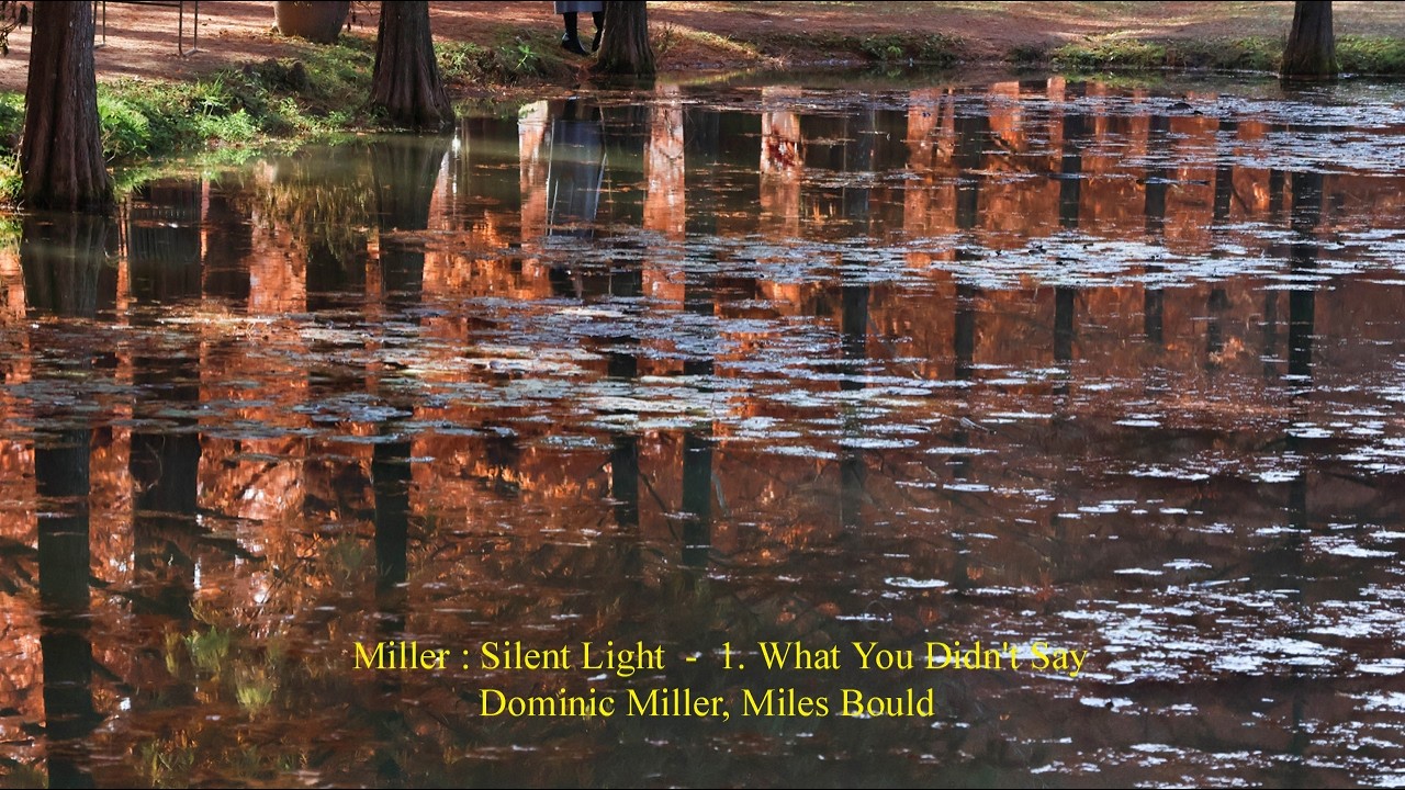 Miller : Silent Light - 1. What You Didn't Say