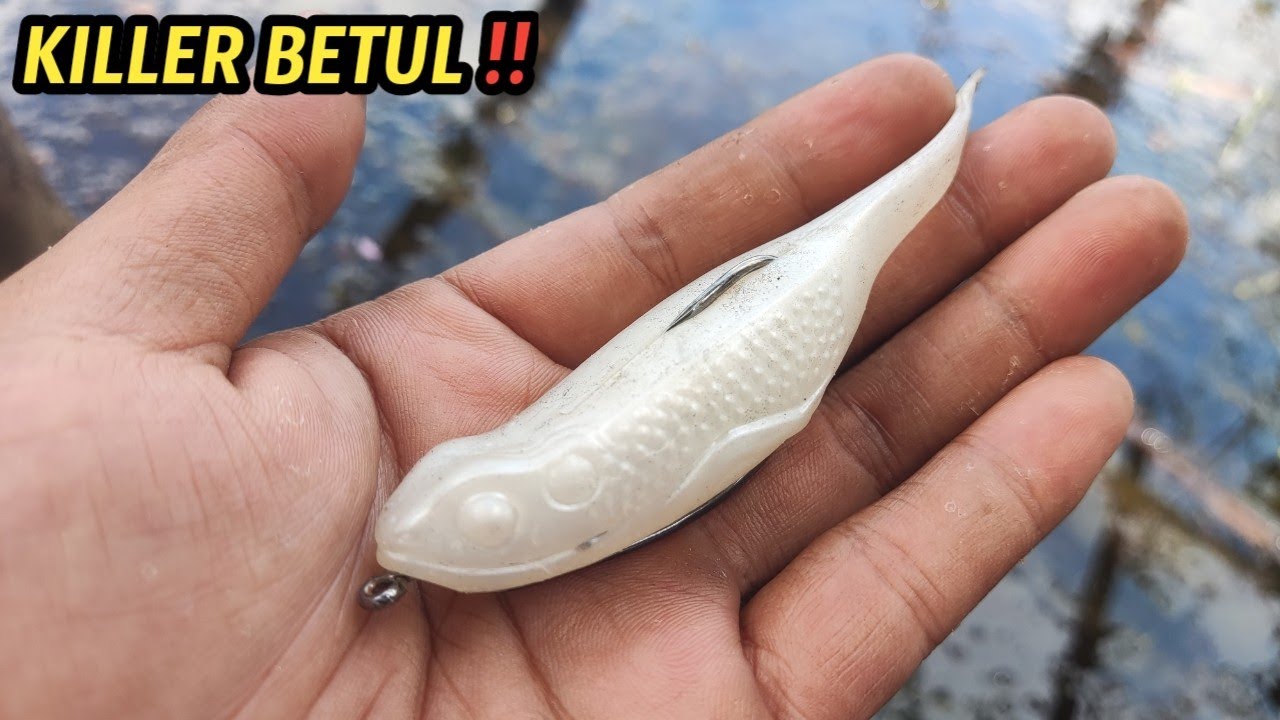 DISAMBAR TERUSS ‼️ CASTING TOMAN PAKAI UMPAN KECEBONG || SOFT PLASTIC