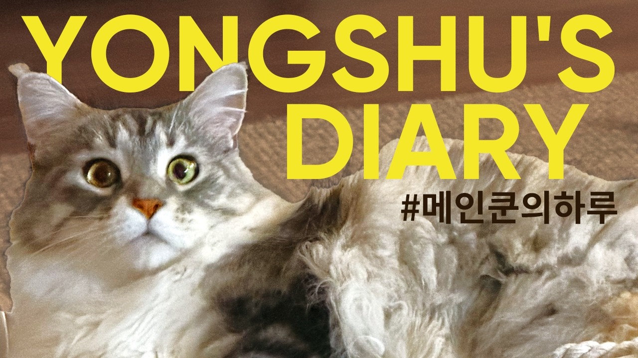 나 이번주!! 많은 일을 했다구요!!!