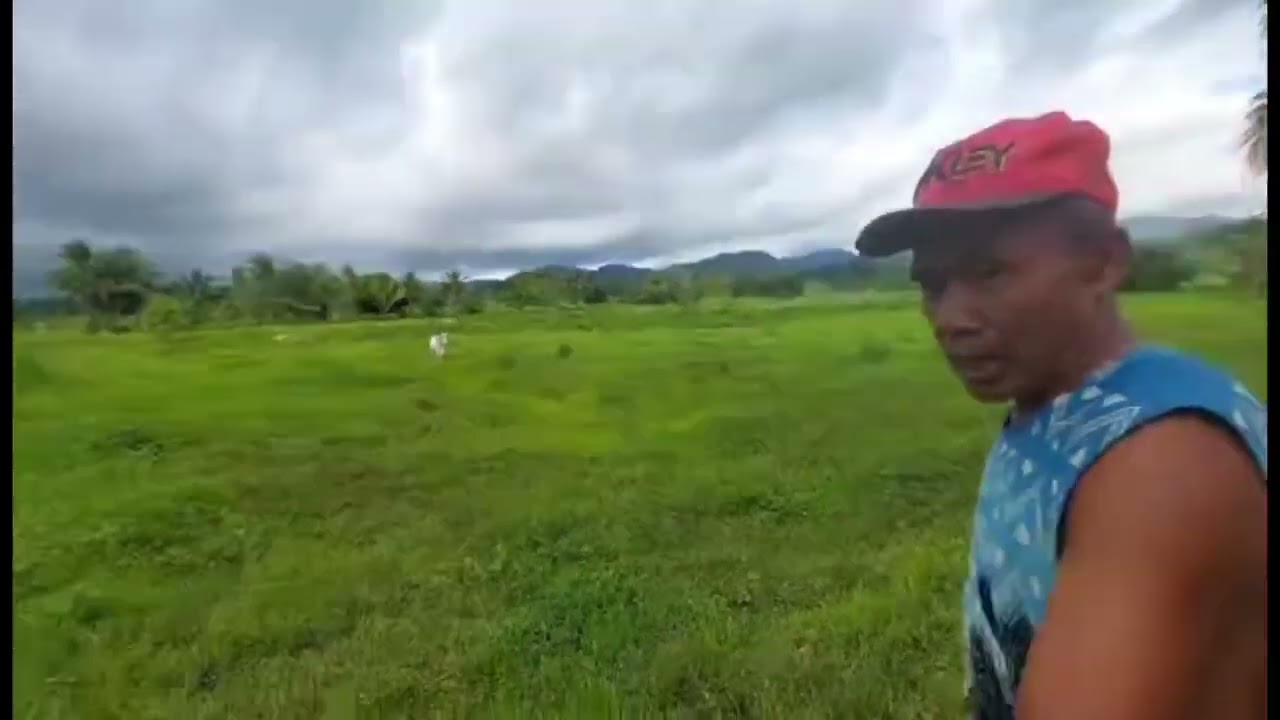 Searching out property for sale in Leyte Philippines