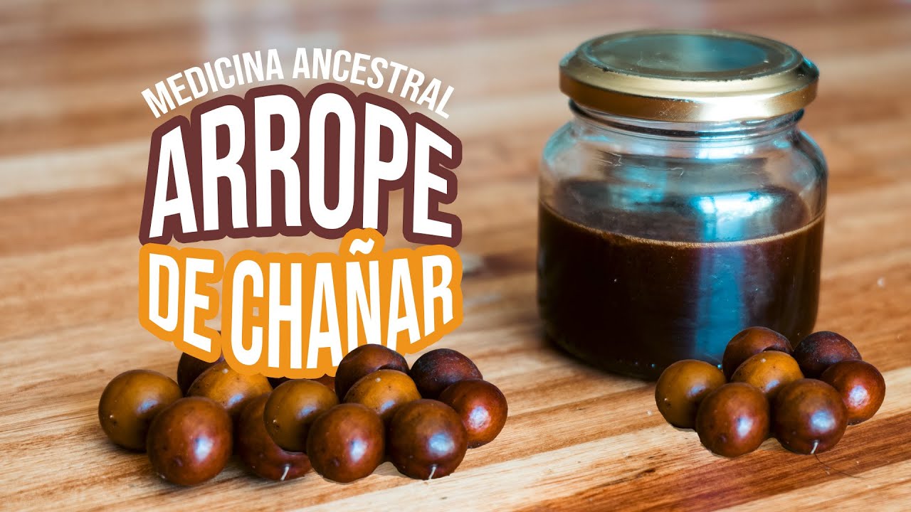 Cómo hacer ARROPE DE CHAÑAR 🌙  Alimento ancestral y medicinal del árbol de los mil usos.