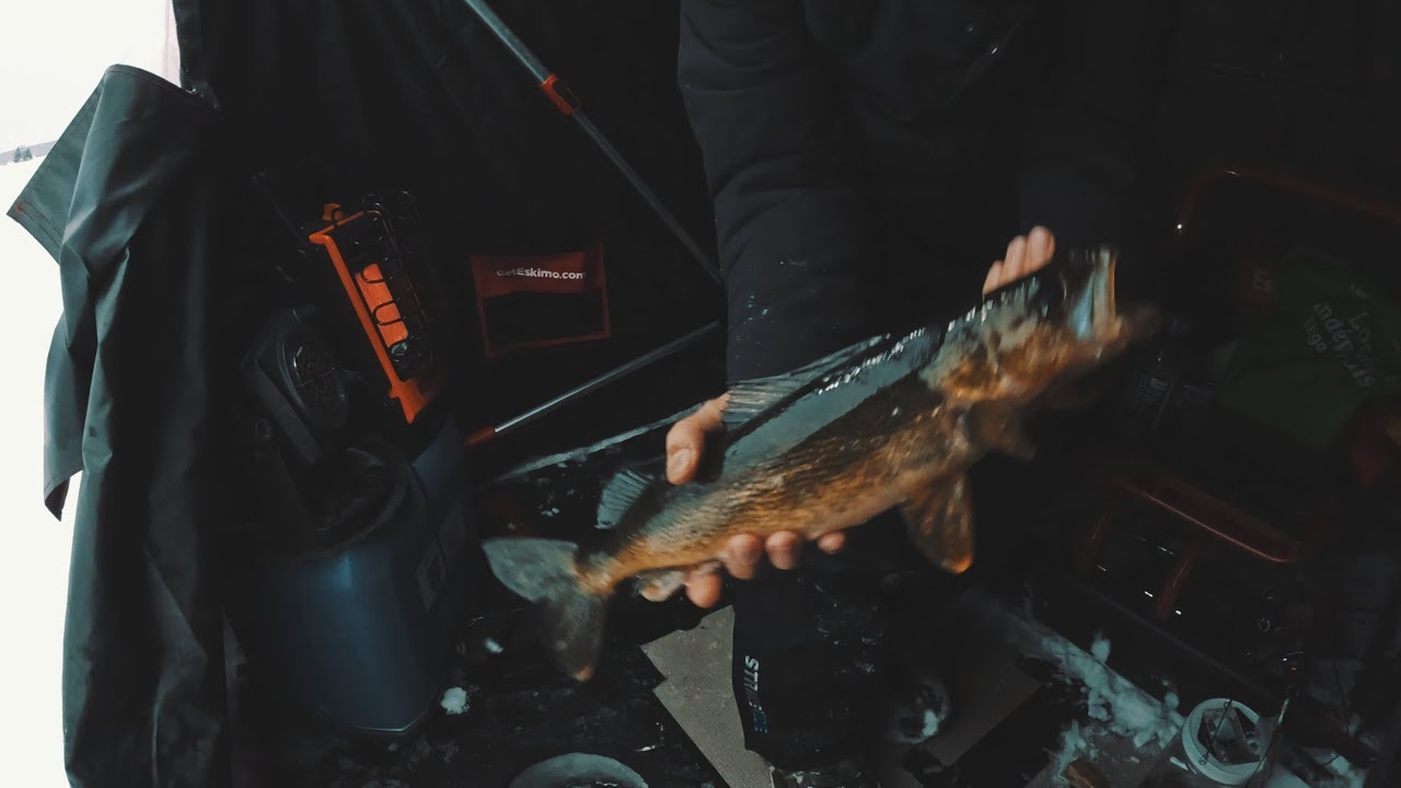 Warm weather ice fishing on a hot walleye bite January 7, 2026