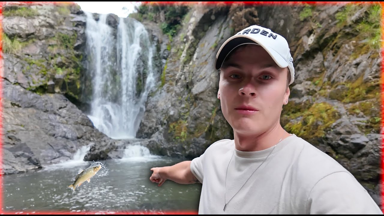 17 000 KM KOTOA 🌏 / UUSI SEELANTI OSA 4