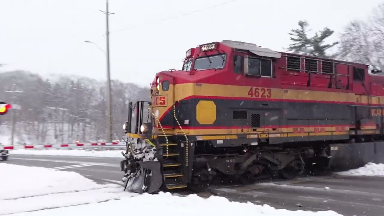 All of my Locomotive catches 2025-26 so far Part 2