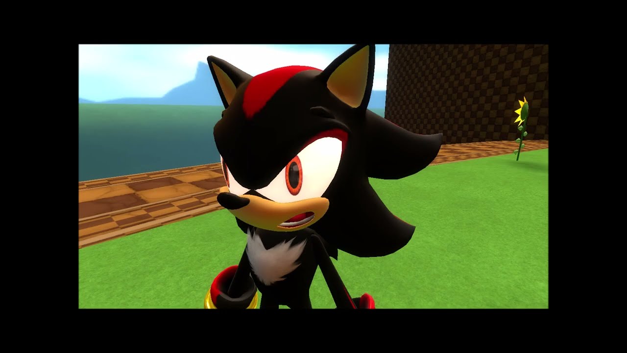 Hedgehogs Do Not Eat Chili Dogs!