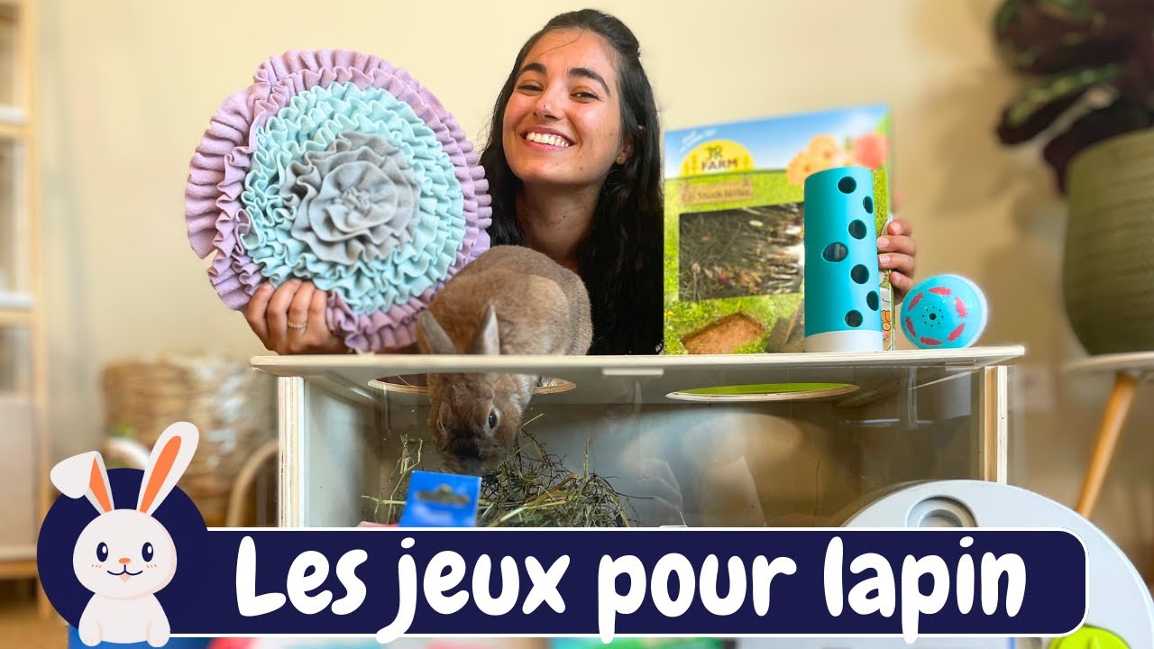 Les MEILLEURS jouets pour lapin 🐰