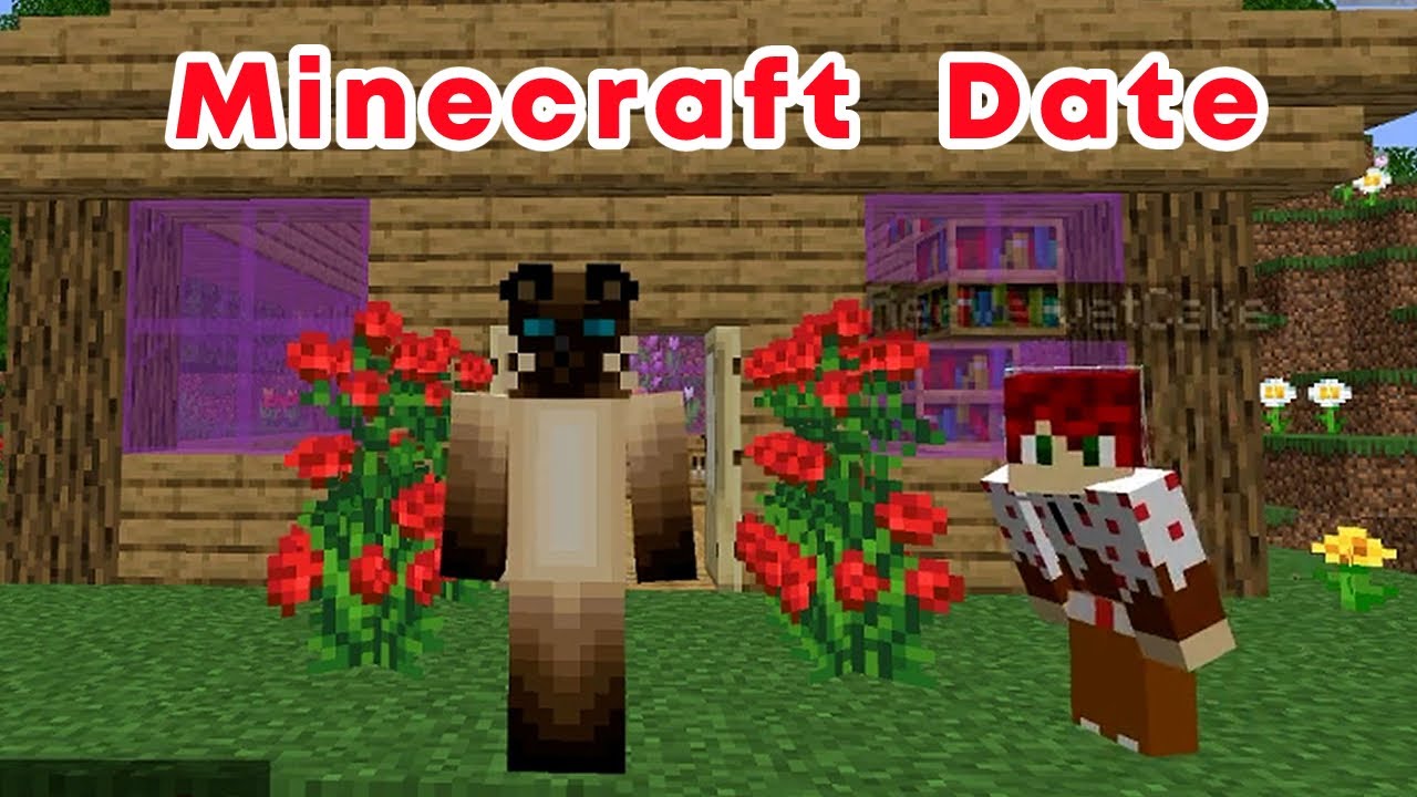 Cute Antfrost and RedVelvet Moments From Their Minecraft Date